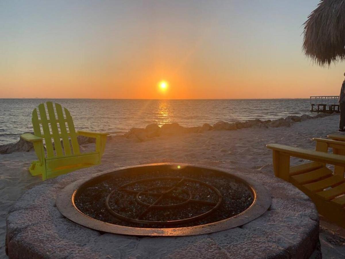 Sunset Paradise - Find Yourself In Tampa Exterior photo